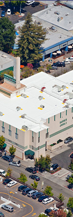 retail roofing